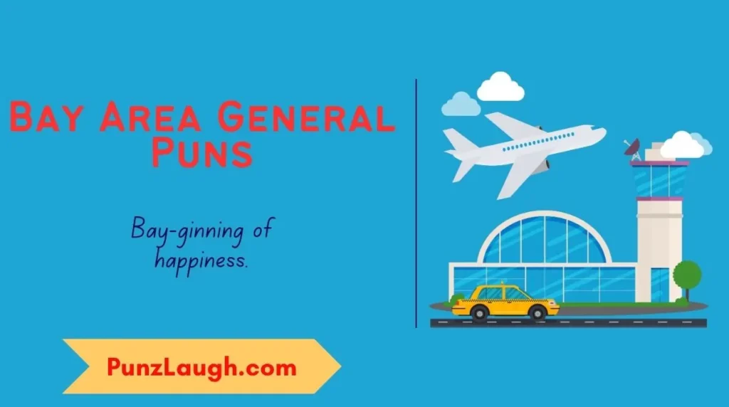 bay-area-general-puns