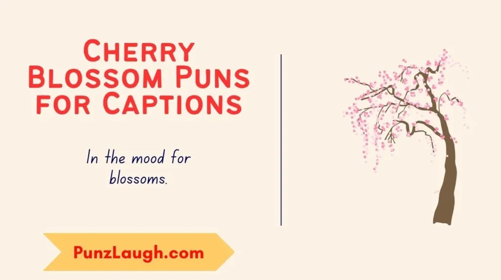 Cherry Blossom Puns for Captions