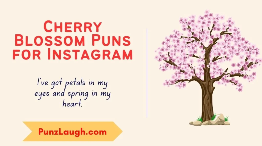 Cherry Blossom Puns for Instagram