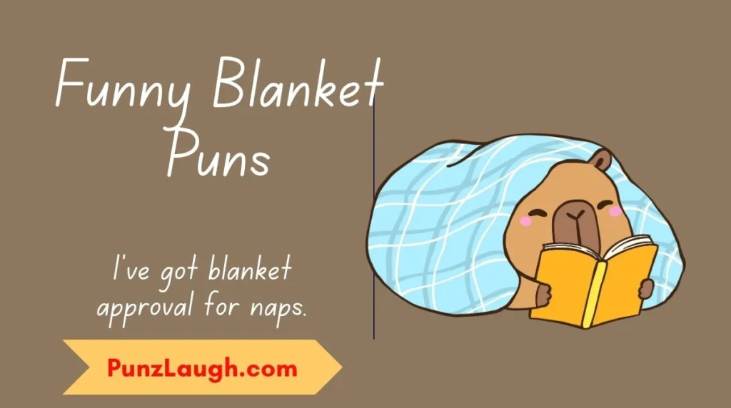 Funny Blanket Puns