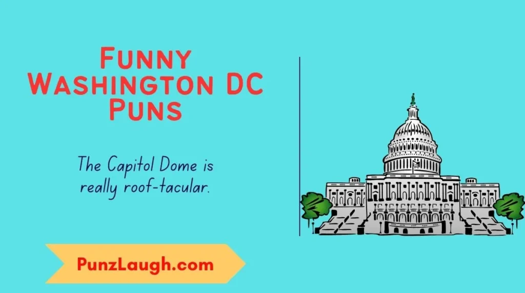 Funny Washington DC Puns