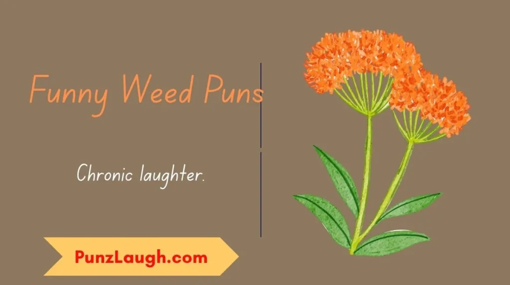 Funny Weed Puns