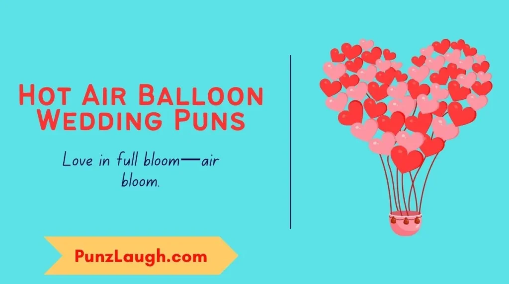 Hot Air Balloon Wedding Puns