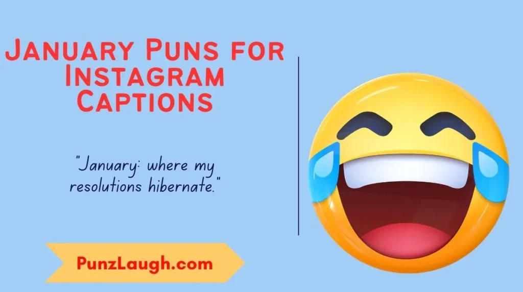 January Puns for Instagram Captions