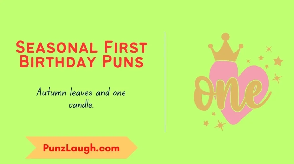 Seasonal First Birthday Puns