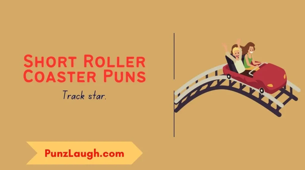 Short Roller Coaster Puns