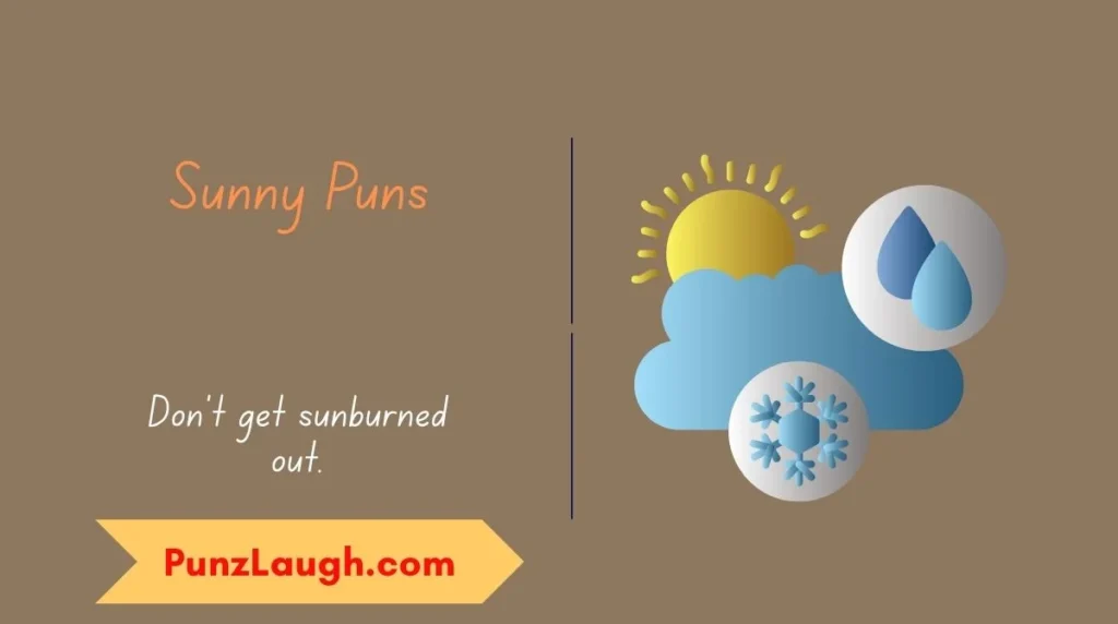 Sunny Puns
