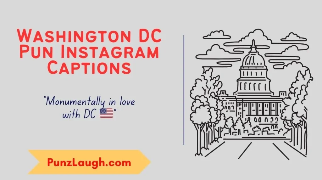 Washington DC Pun Instagram Captions
