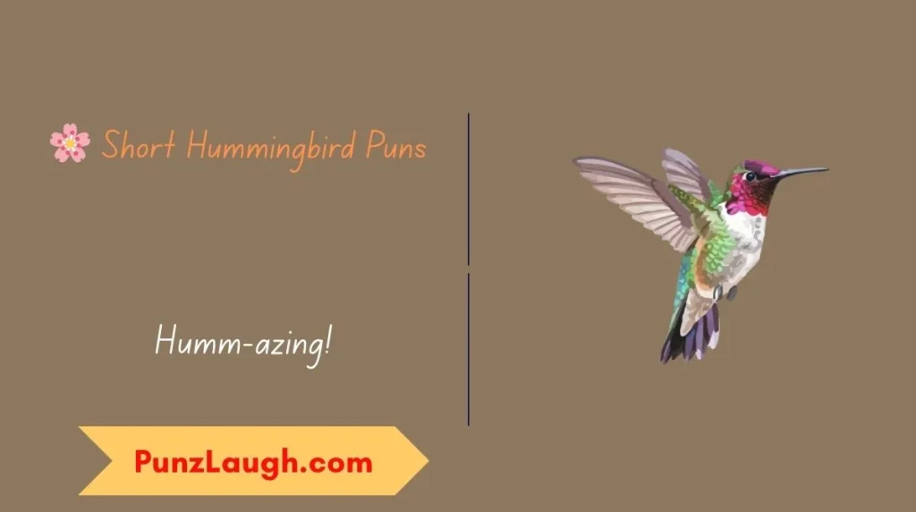 🌸 Short Hummingbird Puns