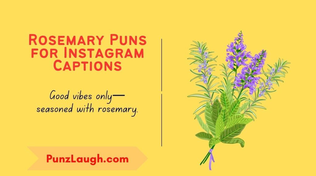 Rosemary Puns for Instagram Captions