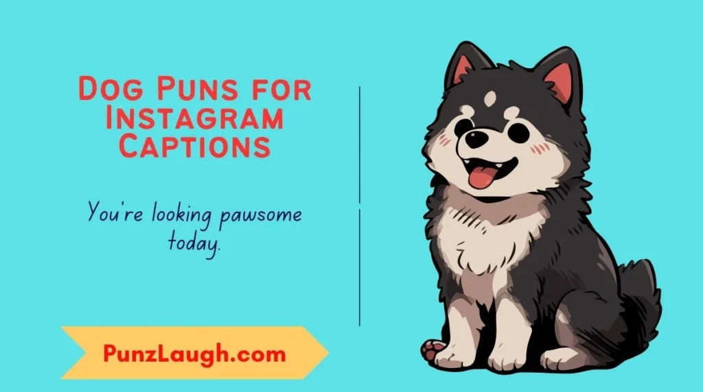 Dog Puns for Instagram Captions