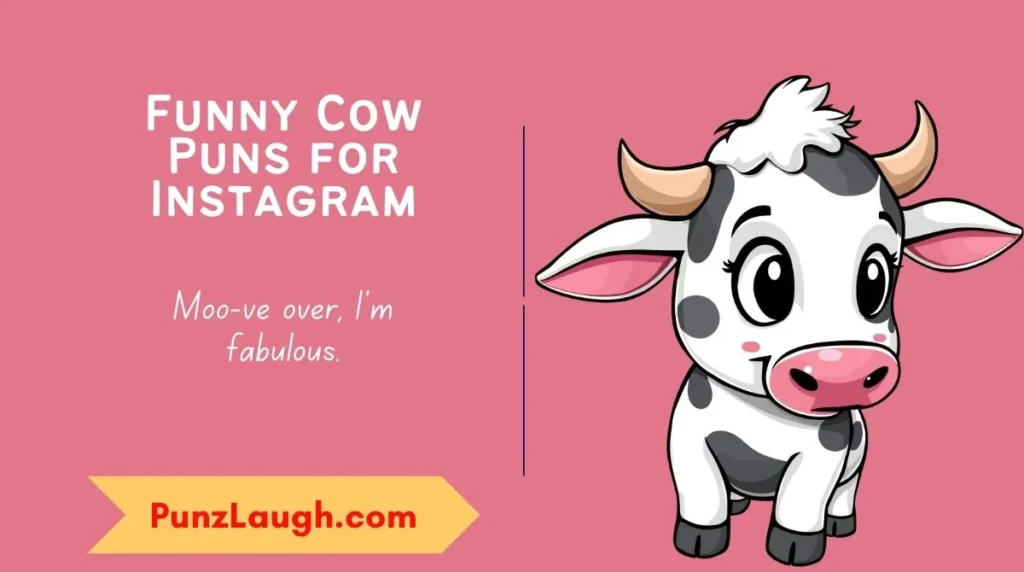 Funny Cow Puns for Instagram