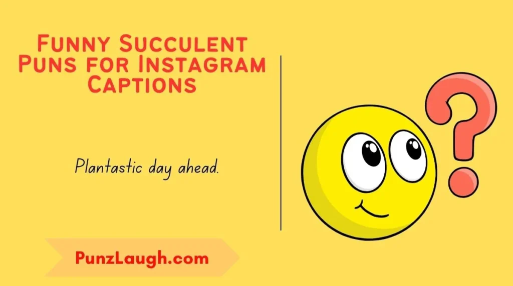 Funny Succulent Puns for Instagram Captions