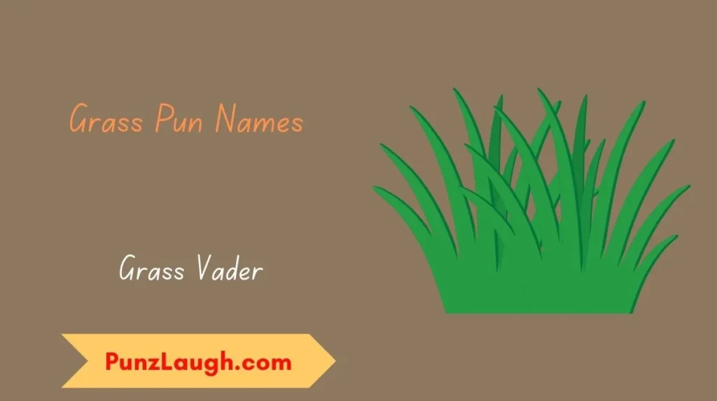 Grass Pun Names