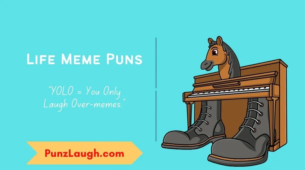 Life Meme Puns