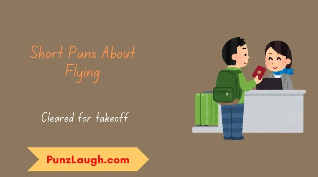 Short Puns About Flying