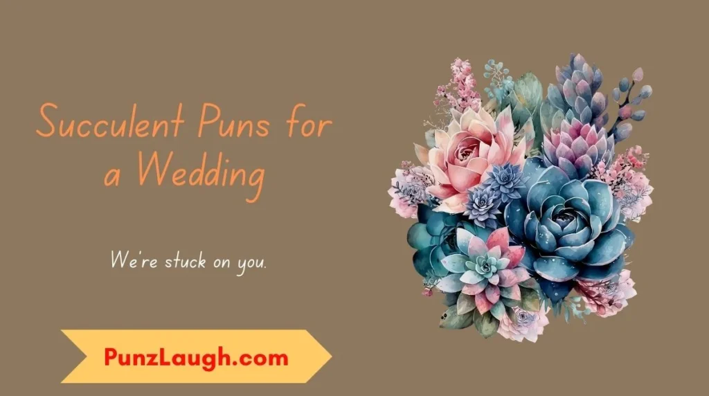 Succulent Puns for a Wedding