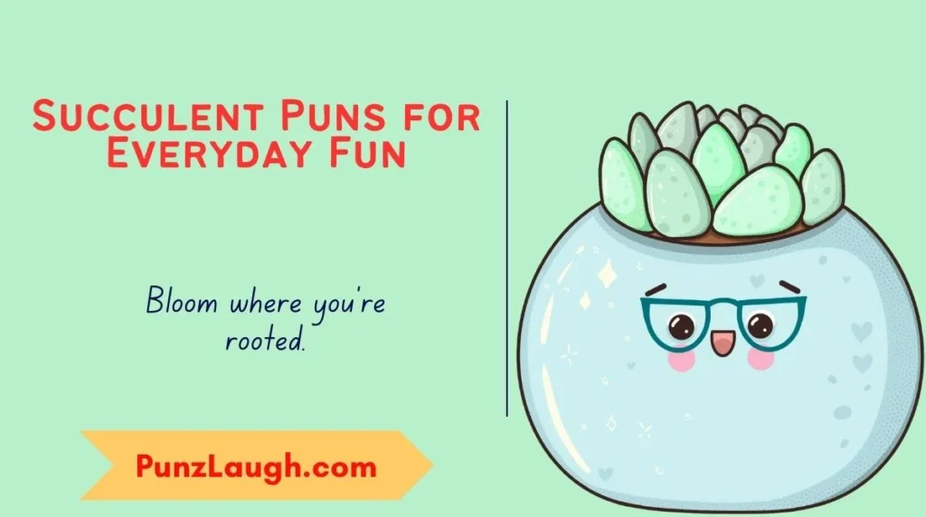Succulent Puns for Everyday Fun