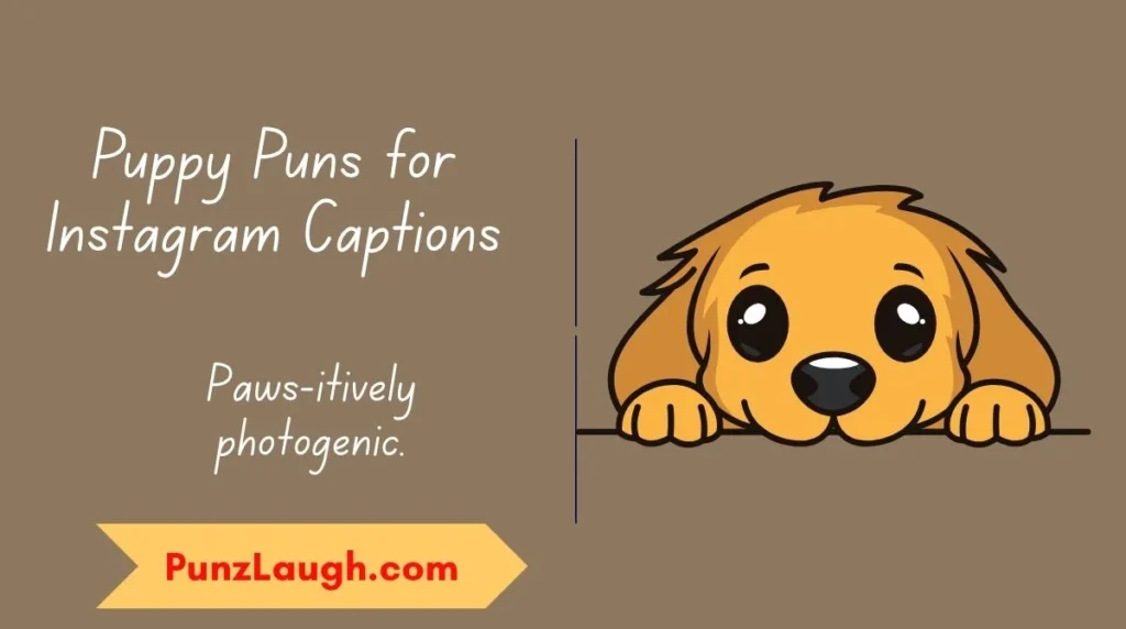 Puppy Puns for Instagram Captions