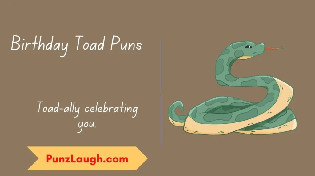 Birthday Toad Puns