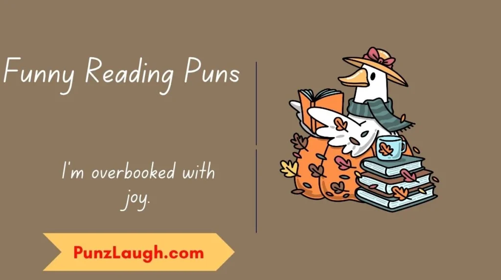 Funny Reading Puns