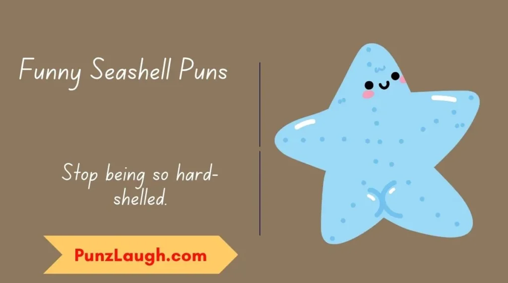 Funny Seashell Puns