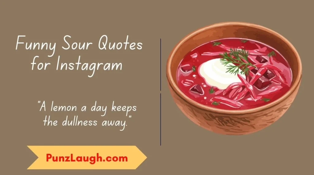 Funny Sour Quotes for Instagram