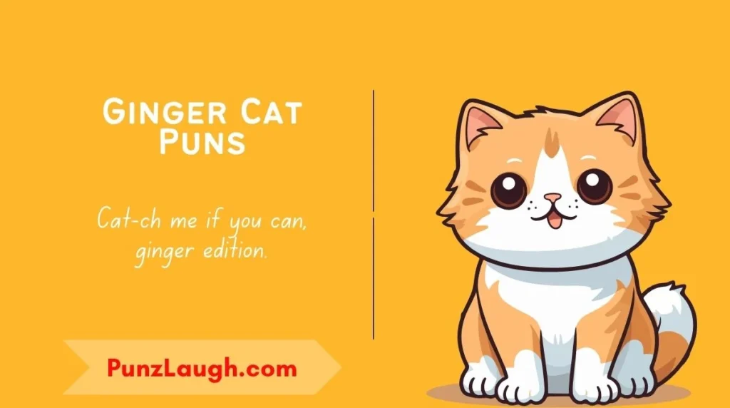 Ginger Cat Puns