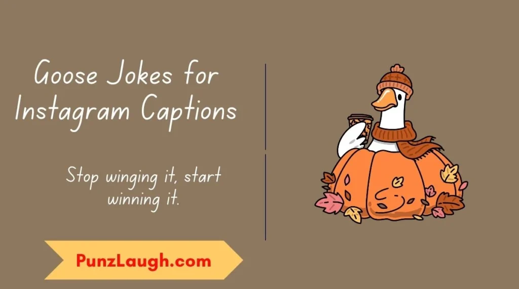 Goose Jokes for Instagram Captions