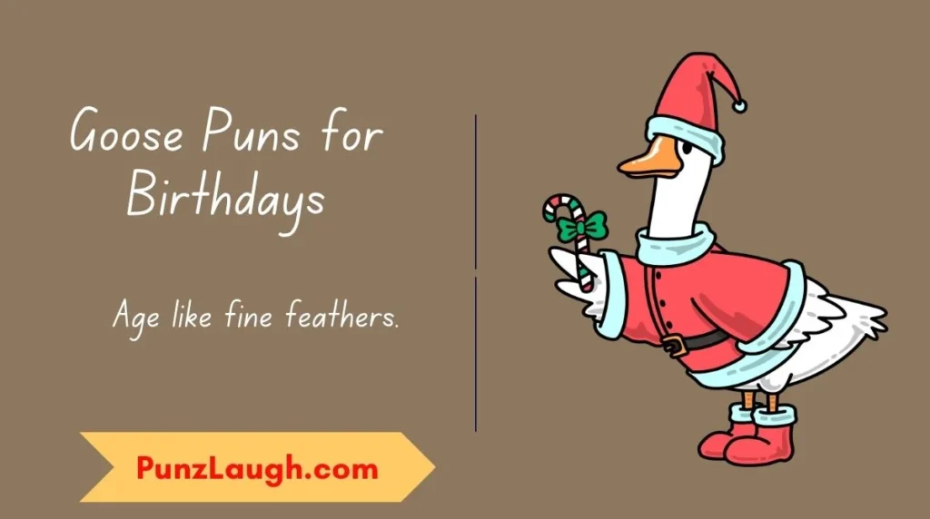 Goose Puns for Birthdays