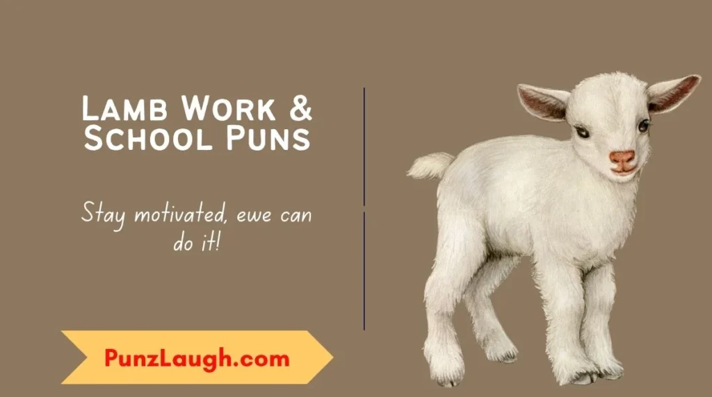 Lamb Work & School Puns