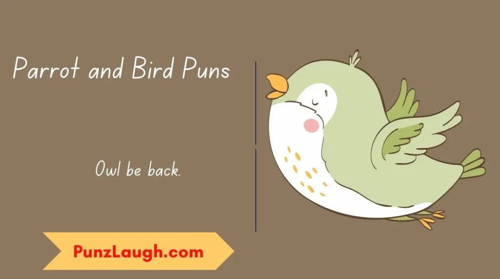 Parrot and Bird Puns