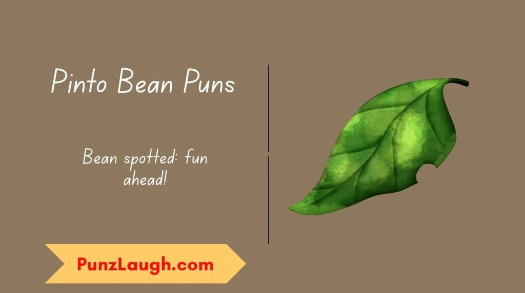 Pinto Bean Puns