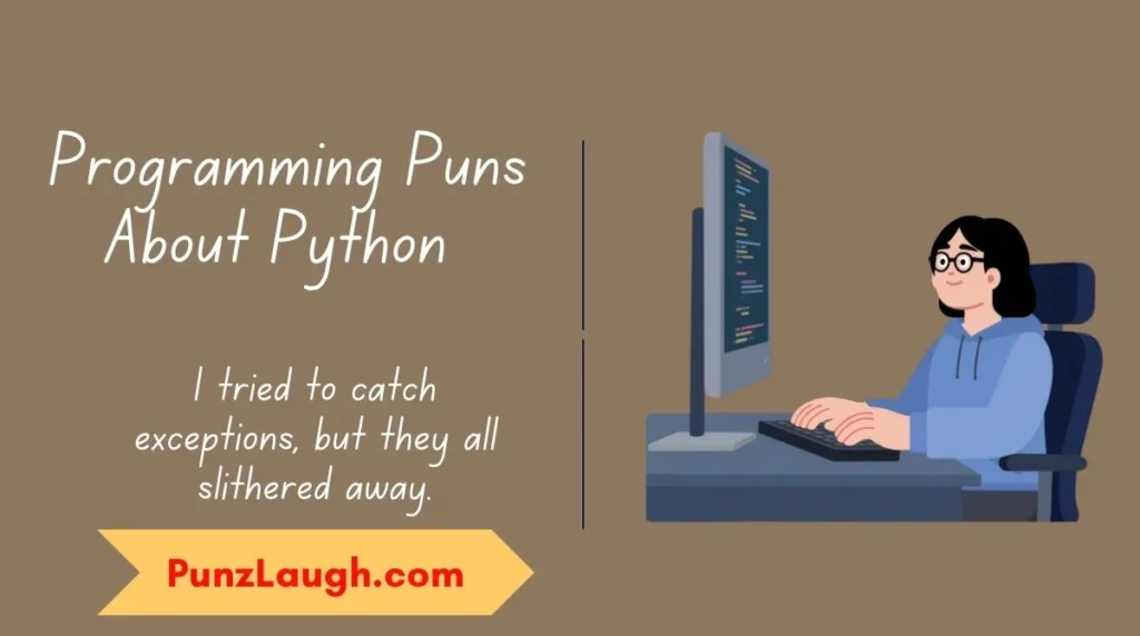 Programming Puns About Python