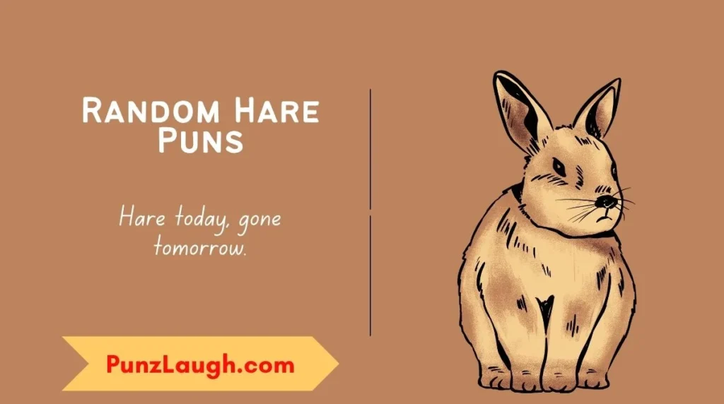 Random Hare Puns