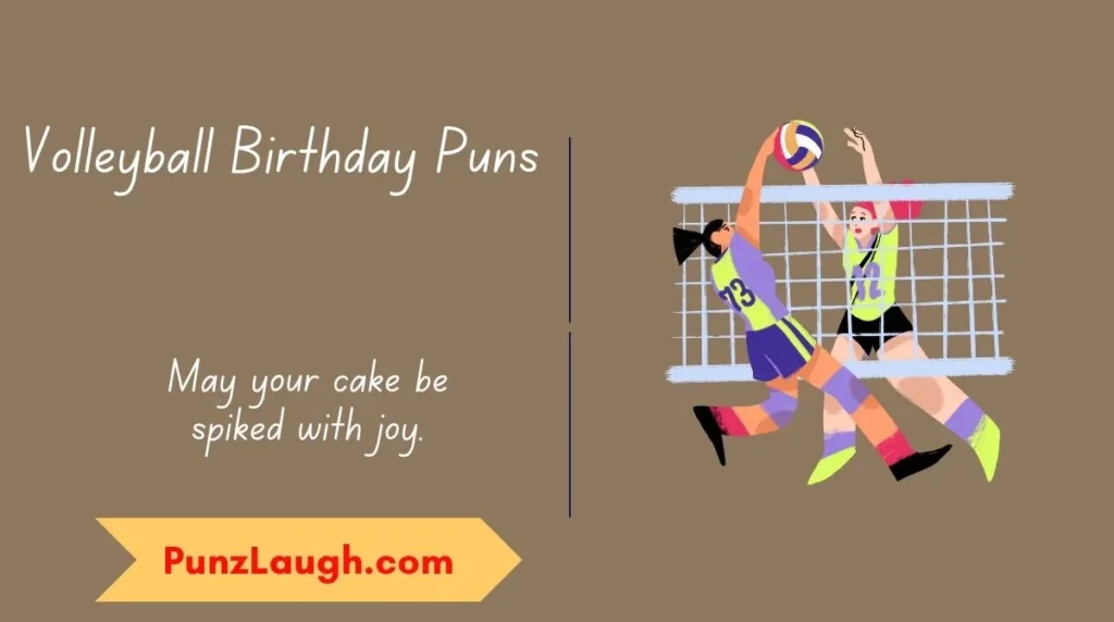 Volleyball Birthday Puns