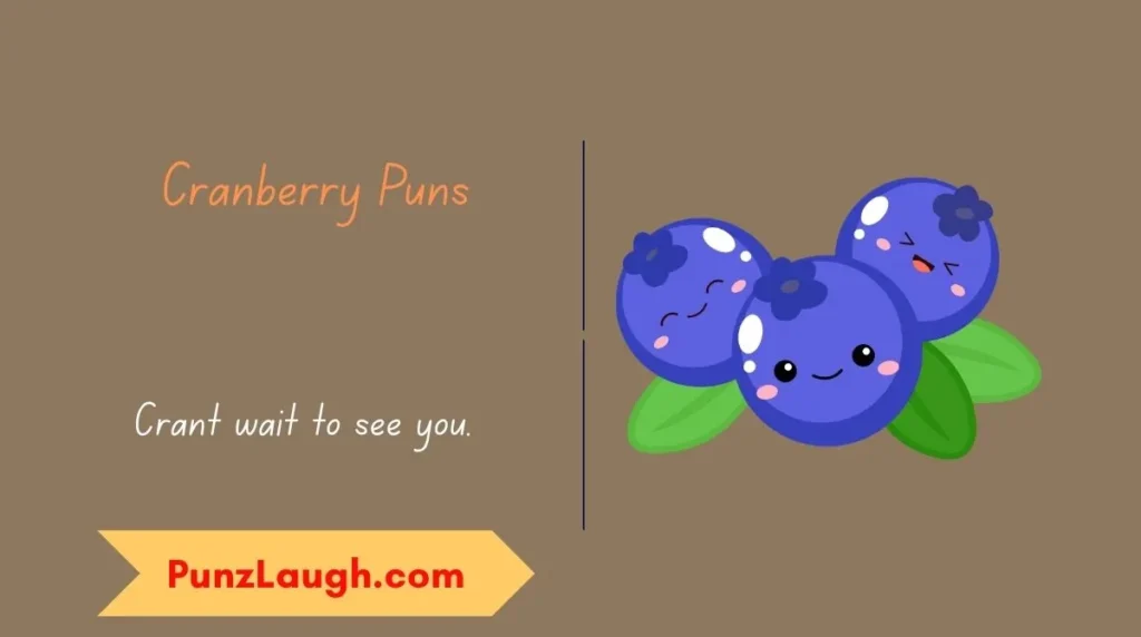 Cranberry Puns 