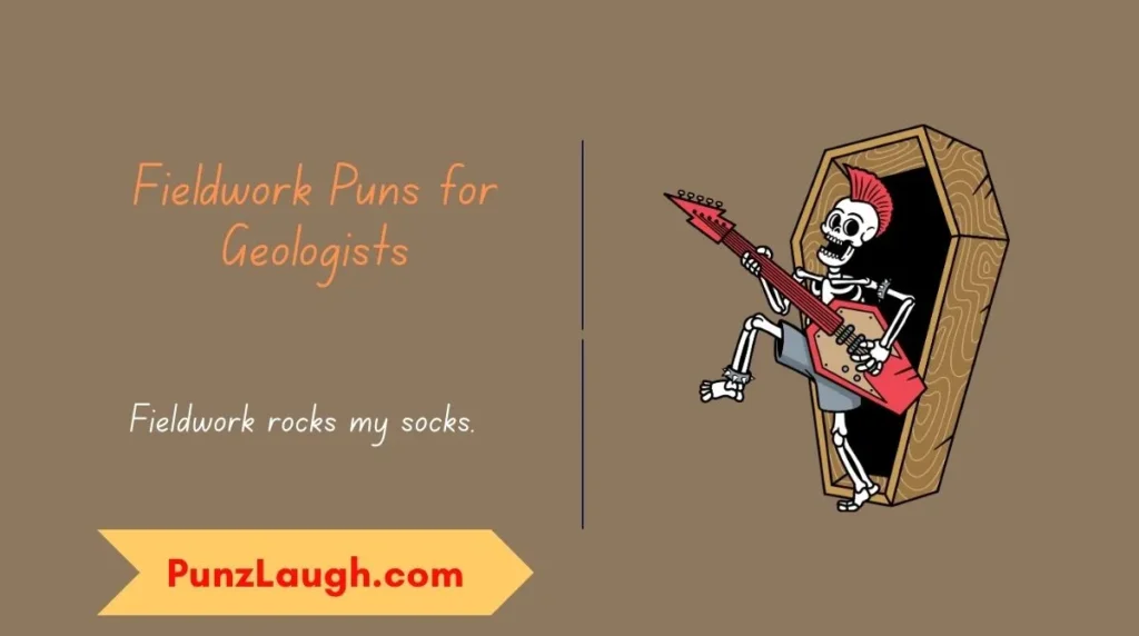 Fieldwork Puns for Geologists
