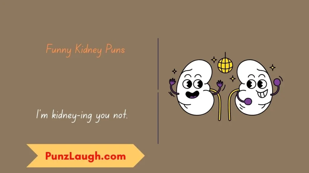 Funny Kidney Puns