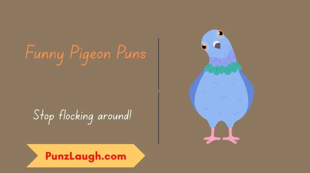 Funny Pigeon Puns