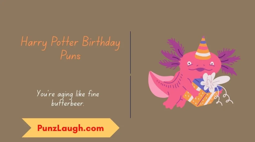 Harry Potter Birthday Puns
