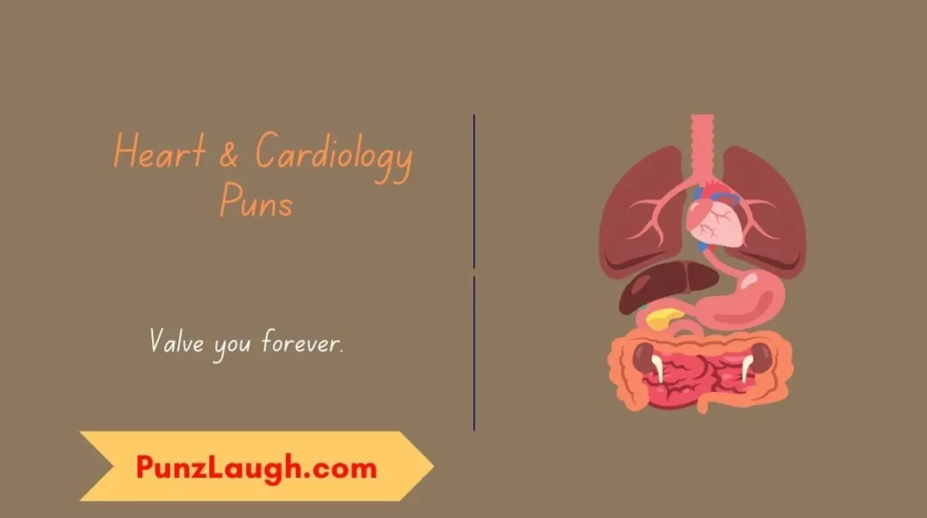  Heart & Cardiology Puns