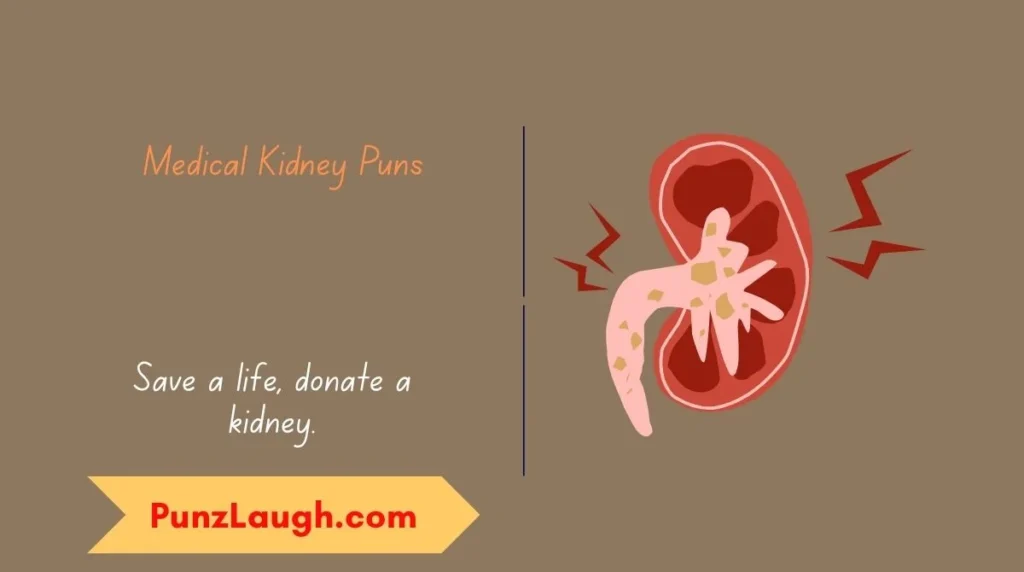 Medical Kidney Puns