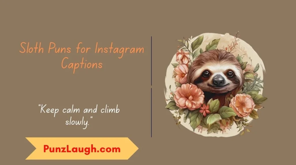 Sloth Puns for Instagram Captions