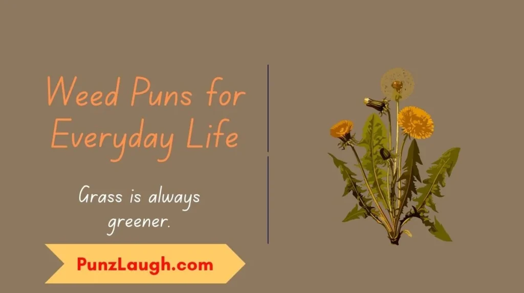 Grass is always greener.