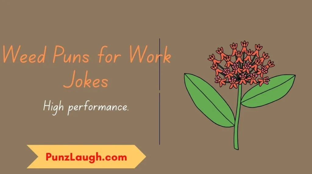 Weed Puns for Work Jokes