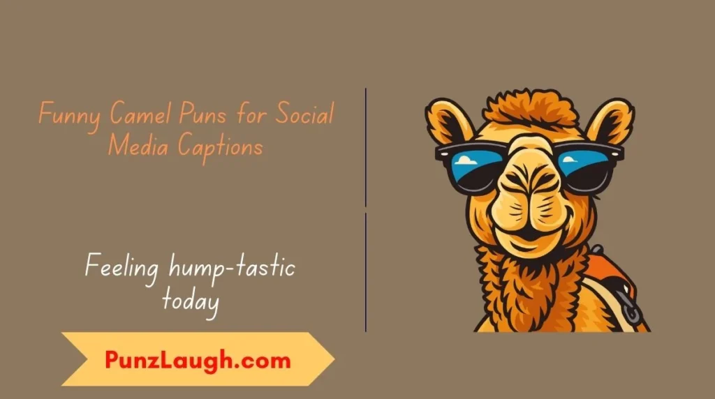 Puns for Social Media Captions