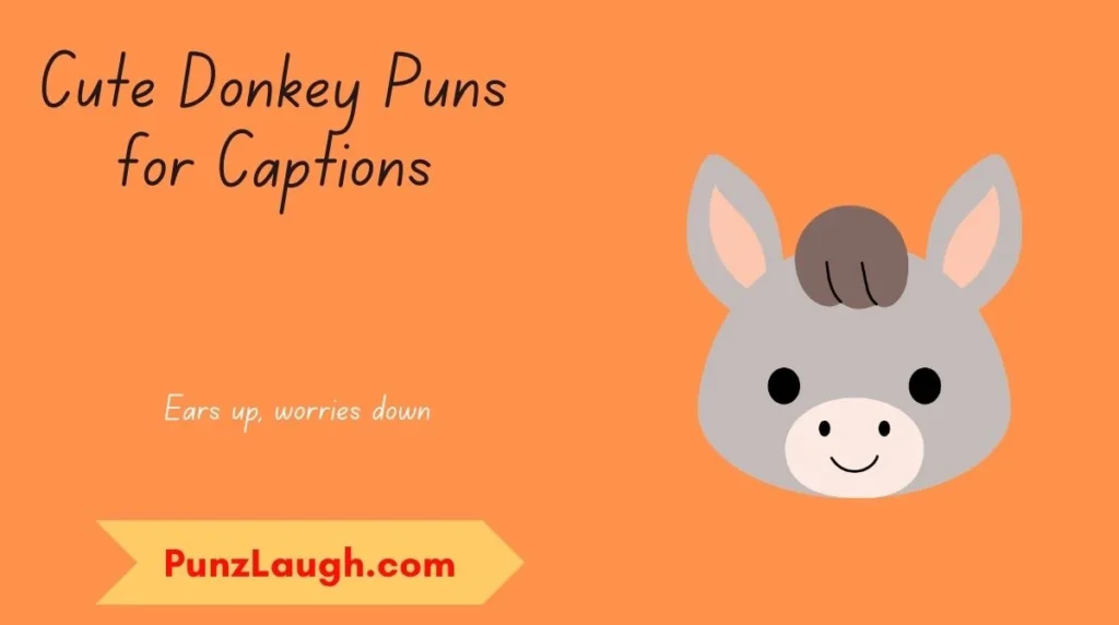 Cute Donkey Puns for Captions