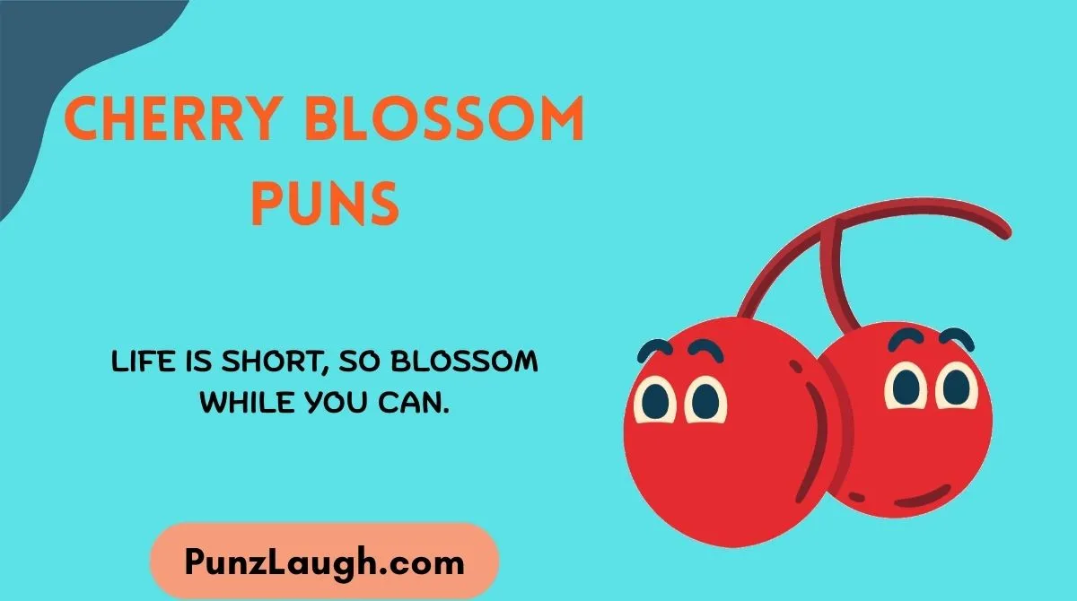 Cherry Blossom Puns