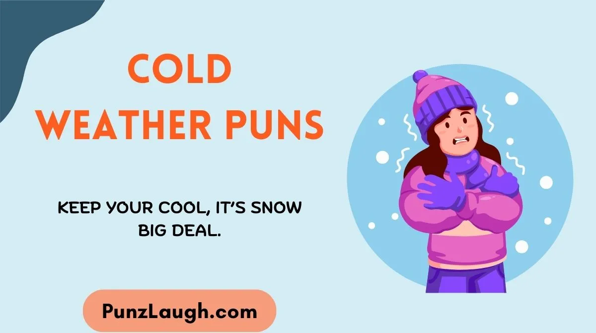 Cold Weather Puns